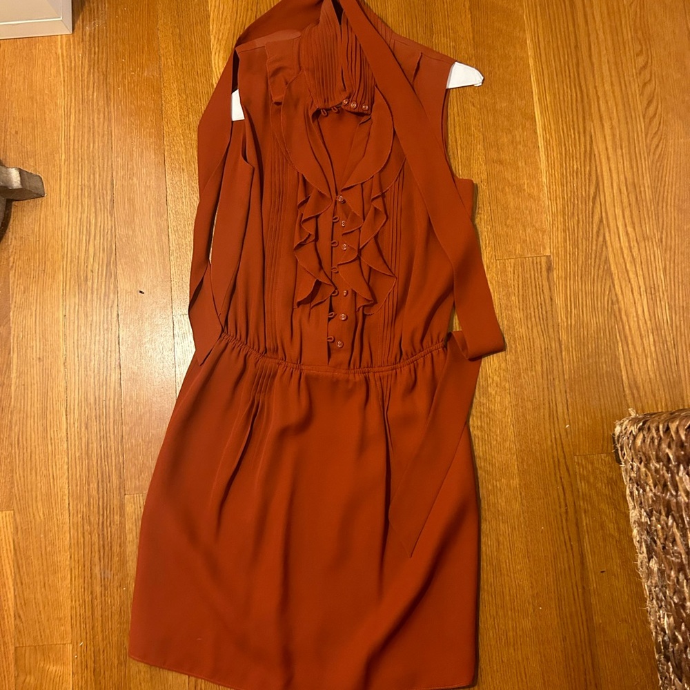 Rust colored ruffle color dress.